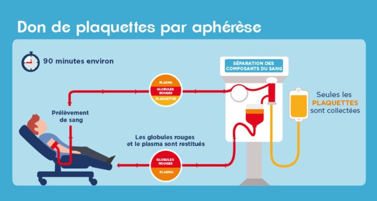 Infographie don de plaquettes