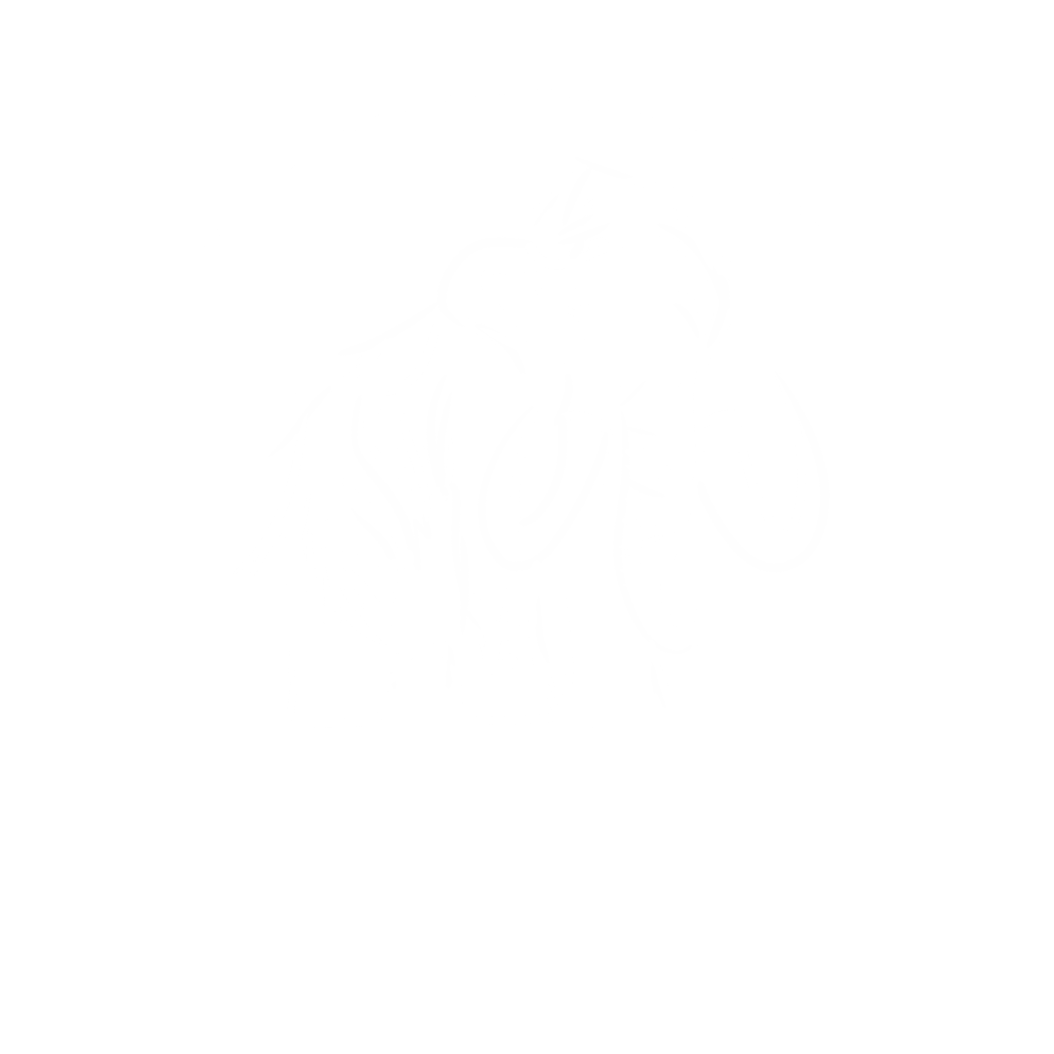Logo Orphies sans couleur