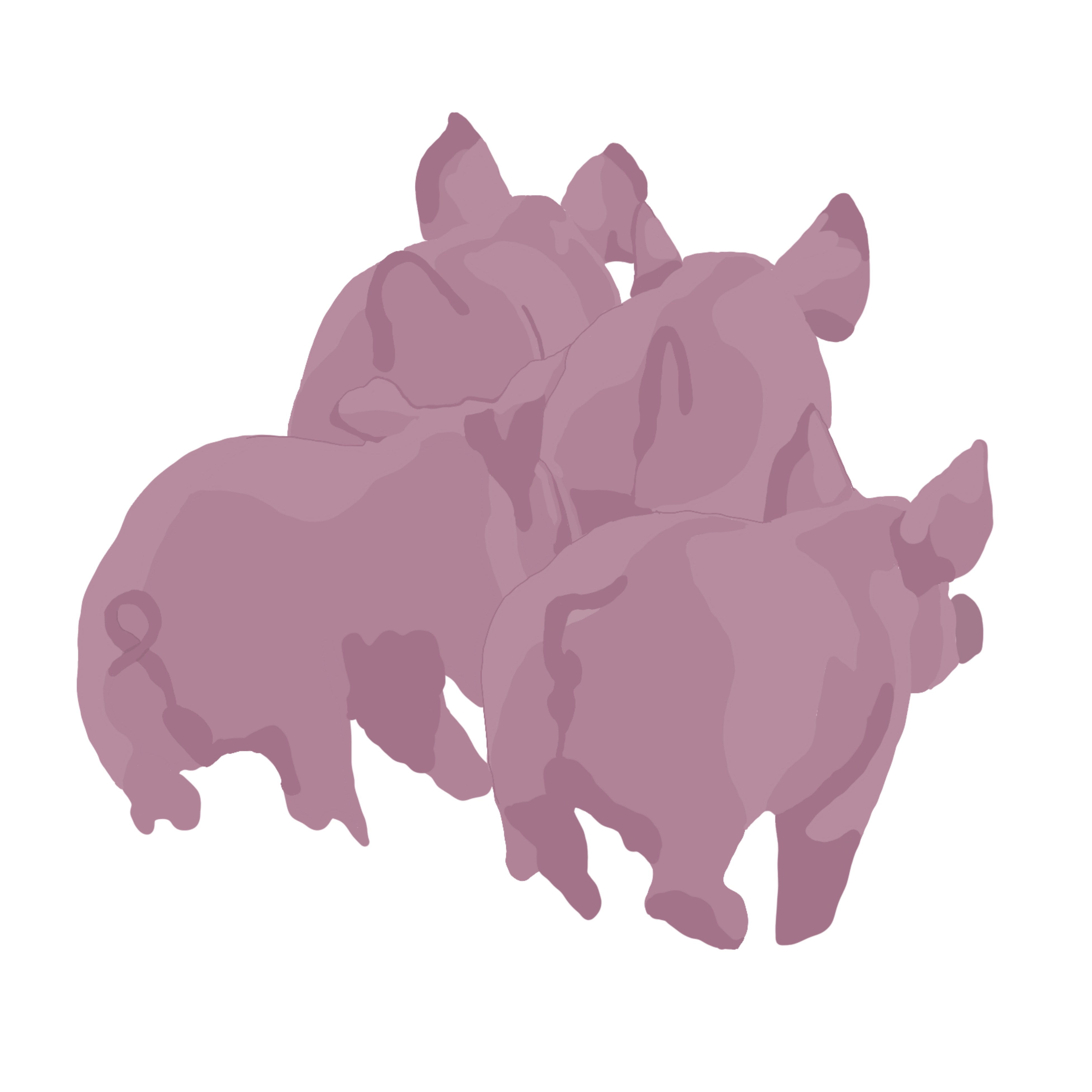 Porc