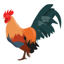 Coq